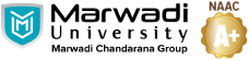 Marwadi University
